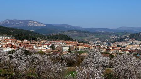 Paisaje de Tierra Estella con el término en primer plano de Ayegui, una de las localidades incluidas en los proyectos de investigación minera.