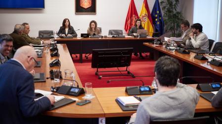 Comparecencia de Edurne Eginoa (OANA) en la comisión de investigación del Parlamento de Navarra