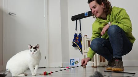 Nerea Gilabert Alzórriz trata de atraer la atención de la gata 'Kanika' con un señuelo.