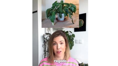 Consejos