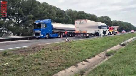 Vídeo del aparatoso accidente de un camión registrado este jueves en la AP15 en Villafranca