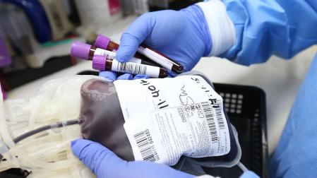 Una bolsa de sangre