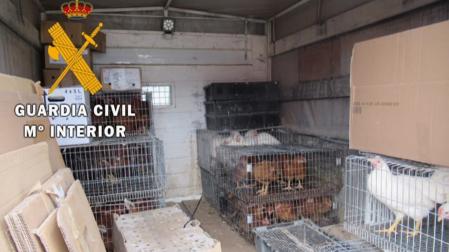 Localizado a un varón vendiendo aves en una furgoneta en Viana