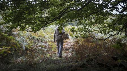 Cesta de mimbre, un aficionado a la recolección camina por una zona frondosa de un paraje navarro.