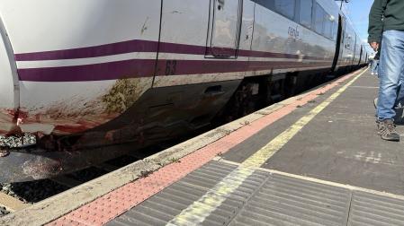El tren afectado por el atropello a parte de un rebaño, en la estación de Luceni