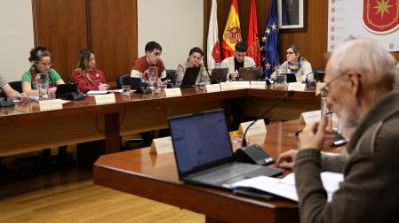Desde la derecha, los concejales socialistas María Sanz de Galdeano e Ibai Crespo con la representante de Geroa Bai y ediles de EH Bildu en un pleno municipal de Estella.