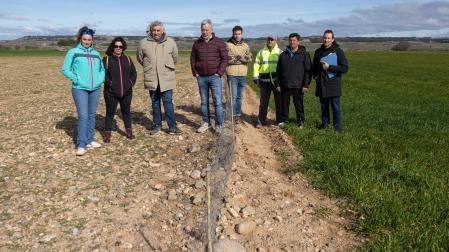 En la foto, tomada este lunes en Cascante, se aprecia la diferencia entre un campo de cereal arrasado por los conejos -a la izda.- junto a otro protegido por una valla -a la dcha.-. De izda. a dcha.: las agricultoras Patricia Martínez Pes y Jenifer Redondo Martínez; Luis Miguel Serrano Cornago y Félix Bariáin Zaratiegui (UAGN); los agricultores Alberto Alfaro Calvo, Javier Díaz Arnedo, y Jesús Sola Hernández; y David Navarro Lorente (UAGN).  b
