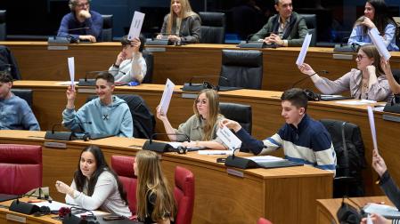 Los estudiantes, en el Parlamento de Navarra.