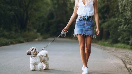 Un perro paseando por la calle con buen tiempo