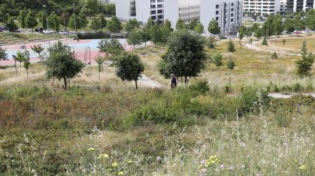 Parque de las Pioneras de Lezkairu