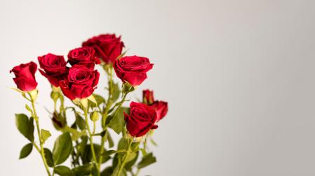 Rosas rojas