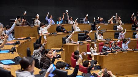 Estudiantes de los colegios Elías Terés y Monte San Julián ejercieron de diputados por un día