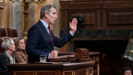El presidente del Partido Popular, Alberto Núñez Feijóo, interviene este miércoles en el Congreso de los Diputados