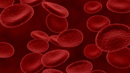 La hemoglobina es una proteína vital presente en los glóbulos rojos y su función principal es transportar oxígeno desde los pulmones a los distintos tejidos del cuerpo