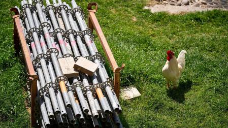 Foto de la liberación de las más de 170 aves enjauladas en el parque de la Taconera