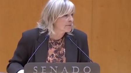 María Caballero, en su intervención este miércoles en el Senado