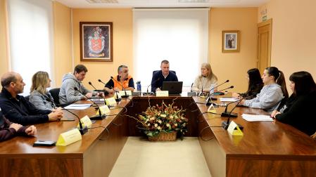 Un momento de la última sesión plenaria de Ayegui