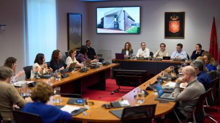 Comisión de Salud del Parlamento foral con una representación del Sindicato Médico.