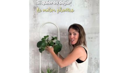 Un consejo fácil y económico para saber cuándo regar las plantas
