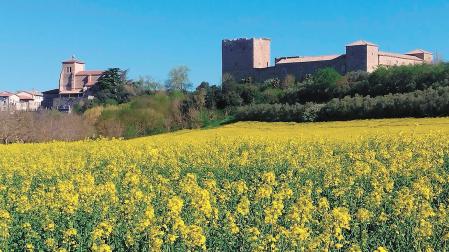 Imagen de un campo de colza. Al fondo, en lo alto, la localidad de Arazuri, con su palacio medieval