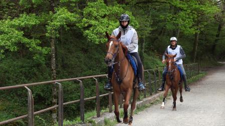 A:  EDUARDO BUXENS F:    18  ABRIL 2026 L:   LEKUNBERRI T:   RAID HÍPICO EN LEKUNBERRI