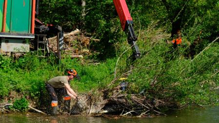 Limpieza de las riberas del río Arga en Pamplona
