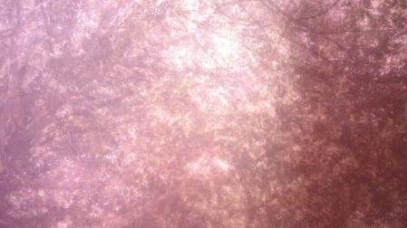 Fotograma de 'Airship 1', del estadounidense Kenneth Anger, incluida en el ciclo