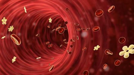 Representación de moléculas de insulina (con forma de flor) y glóbulos rojos en un vaso sanguíneo