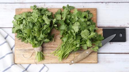 El rechazo al cilantro también tendría una explicación evolutiva según la nutricionista