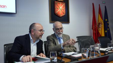 Alberto Lafuente, gerente de Bidean, junto al consejero de Salud, Fernando Domínguez
