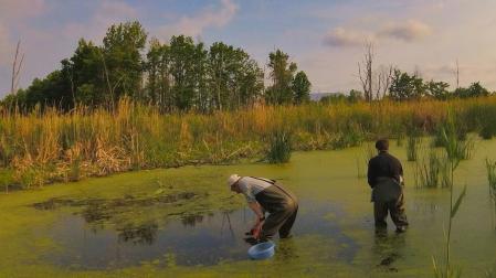 Trabajo de campo en la Zona de Exclusión de Chernóbil (Ucrania), mayo de 2019