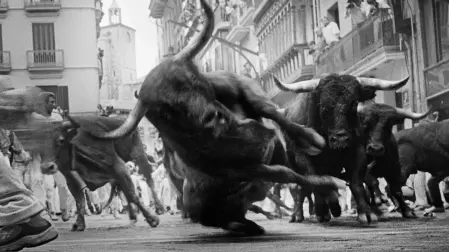 Una de las imágenes del proyecto 'San Fermín 2001'