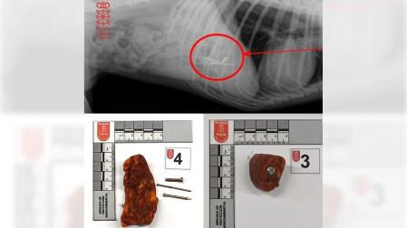 Foto del cebo con los clavos y un tornillo.