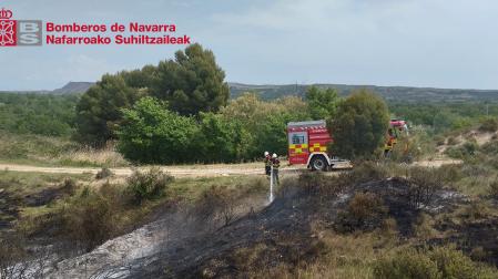 Incendio entre Tudela y Castejón