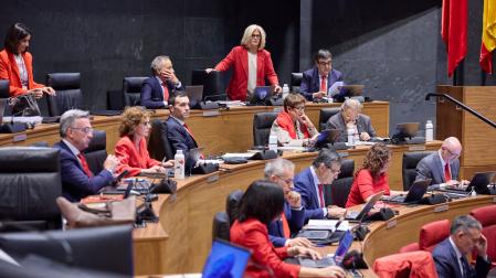 Imagen de la bancada de UPN en el Parlamento, donde el rojo ha sido código de vestimenta y se han esgrimido banderines de Navarra.