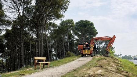 El carril bici irá junto a la senda peatonal que bordea el pinar entre Zizur Mayor y Cizur Menor.