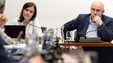Ana Bretaña, directora general de Medio Ambiente, y el consejero José Mª Aierdi, en una comparecencia en el Parlamento de Navarra.