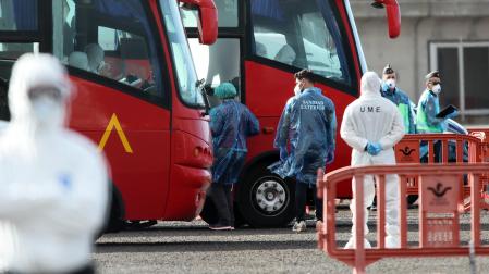 Fotos del desembarco de los pasajeros del crucero MV Hondius y su traslado al aeropuerto de Tenerife Sur