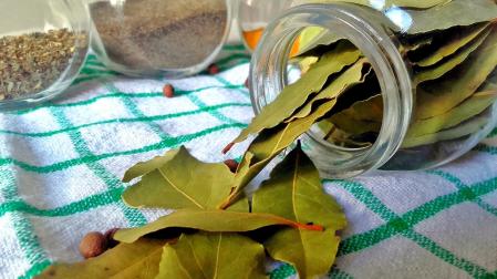 Hojas de laurel