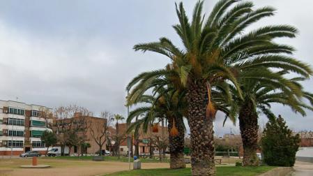 Plaza Rafael Alberti, de Villanueva de la Serena, donde ha tenido lugar el suceso