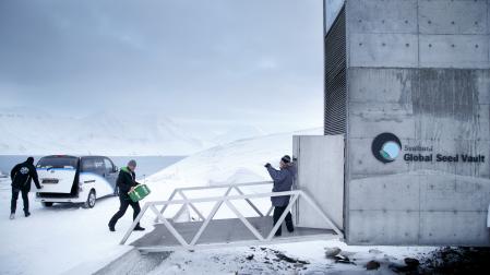 Fotografía de archivo que muestra la llegada de una caja con semillas procedentes de Japón y Estados Unidos al Depósito Mundial de Semillas de Svalbard