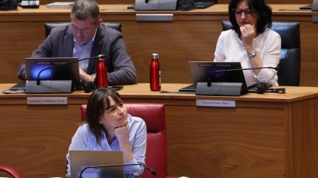 La consejera de Vivienda, Begoña Alfaro, en el pleno del Parlamento de Navarra