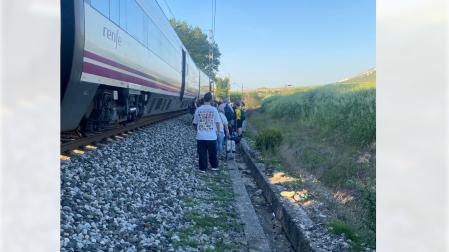 Imagen tomada en el tren afectado en El Carrascal