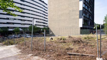 Imagen del solar de la calle Pau que ha generado las quejas de los vecinos