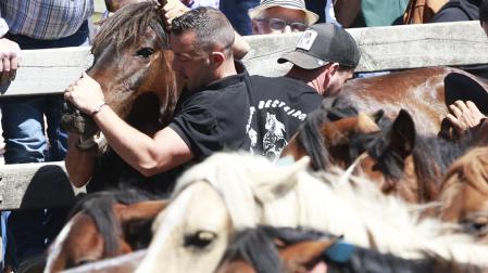 Dos jóvenes sujeta a un caballo durante la jornada de la Rapa das Bestas de A Capelada