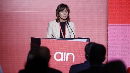 Yolanda Torres es la nueva presidenta de la AIN