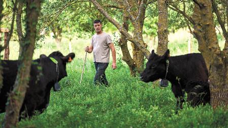 Adelardo Paternáin junto a dos de los ejemplares de vacas Galloway que ya pastan en Pamplona