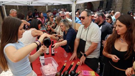 Fotos del Día del Rosado en San Martín de Unx
