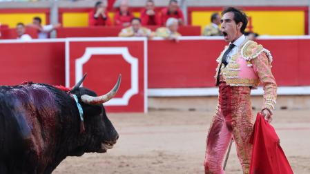 Toros
