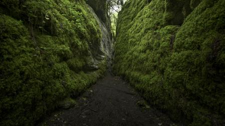 Barranco de Obantzea, la jungla navarra